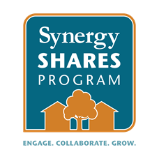 Synergy shares program
