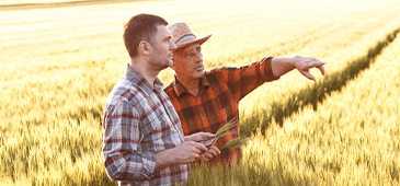 Successionplanning2 365X170 Two men looking standing in a wheat crop