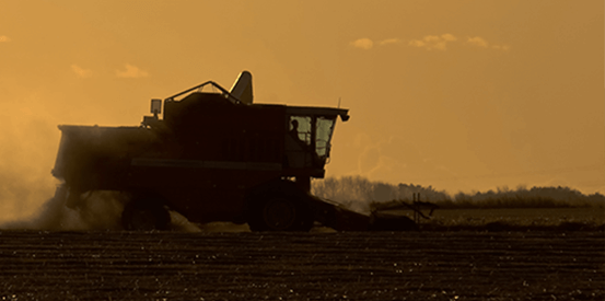 Farming 553X275