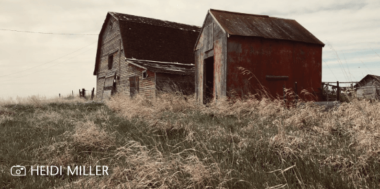 Old Barn and shed