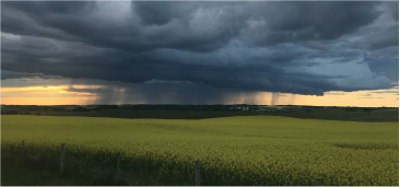 SummerStorm 365X170 Summer rain storm in prairies