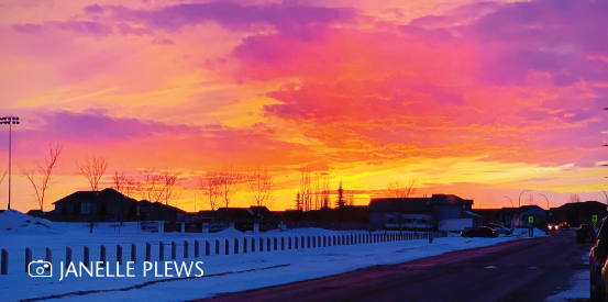 2Cardwidgettemplate 553X275 Sunset Janelleplews SUNSET PHOTO CREDIT JANELLE PLEWS