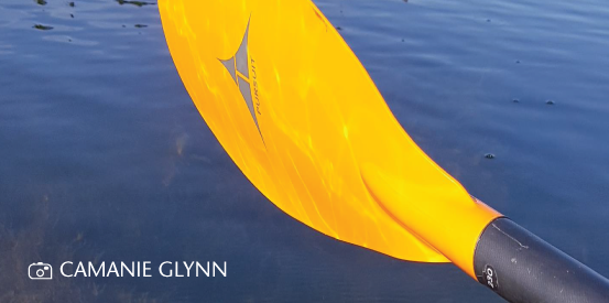 KAYAK PADDLE; PHOTO CREDIT CAMANIE GLYNN