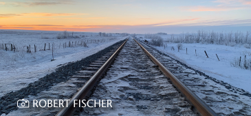 3Cardwidgettemplate 365X170 74 Winter sunset on the train tracks