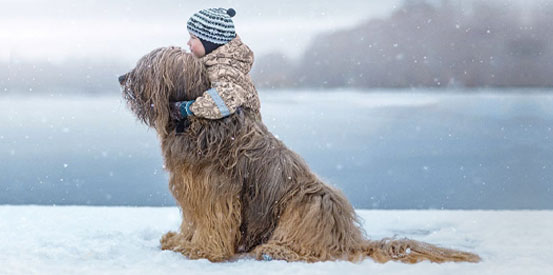 winter scene of a young child hugging a big dog