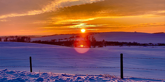 winter sunset snapshot photo by T Rose