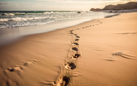 footprints along a beach